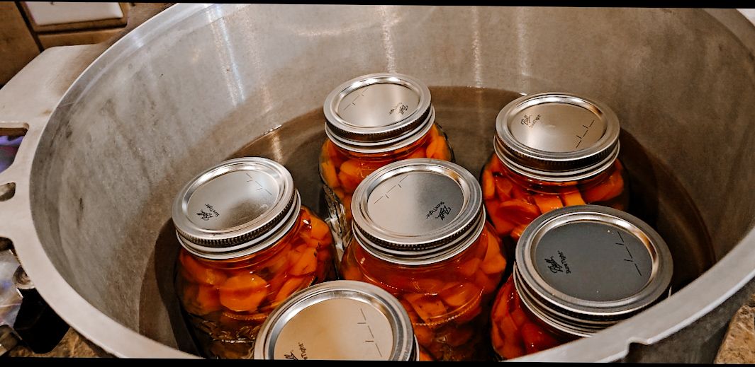 Canning Must-Haves: Essential Tools for Canning