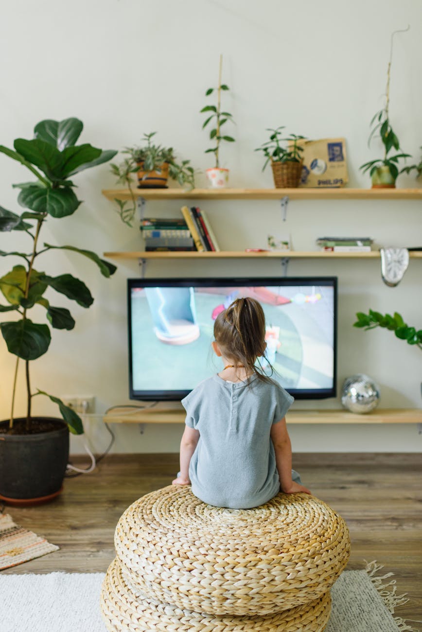 Guarding Their Hearts and Minds: Monitoring Movies, TV Shows, and Video Games for Our Kids